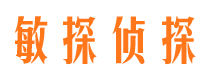 新县市侦探公司